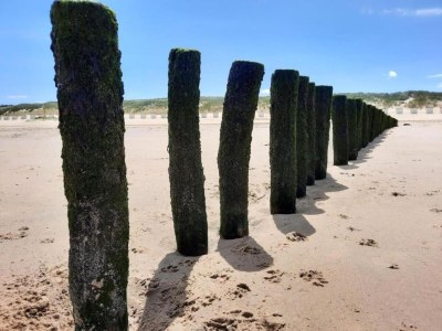 Apartment Wohnung in Groede nahe am Strand - Environment photo 31