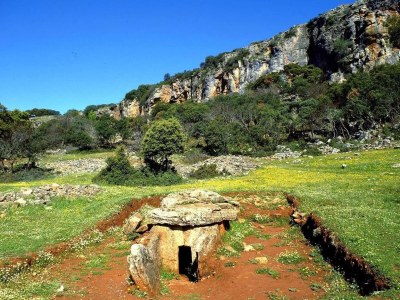 Holiday house Bauernhaus am Fluss in Algarinejo - Environment photo 31