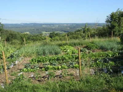 Holiday park Dordogne Charm & Comfort - Environment photo 26
