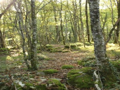 Holiday park Dordogne Charm & Comfort - Environment photo 27