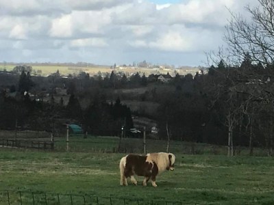 Holiday park Dordogne Charm & Comfort - Environment photo 37