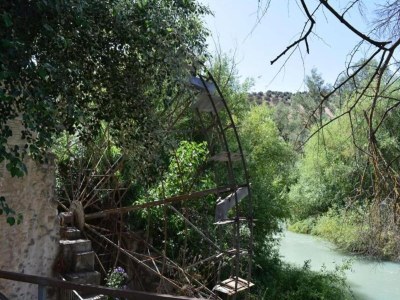 Holiday house Country House Cuevas Bajas by Genil River - Environment photo 29