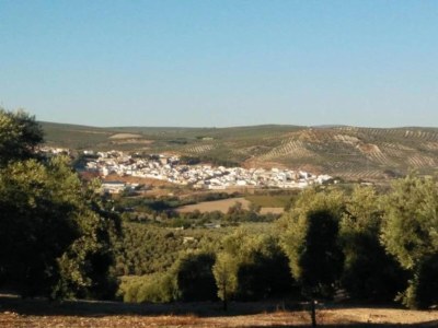 Holiday house Country House Cuevas Bajas by Genil River - Environment photo 30