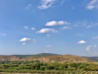 Holiday house Country House Cuevas Bajas by Genil River - Environment photo 32