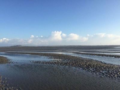 Holiday house Chalet in Tzummarum nahe friesischer Natur - Environment photo 25