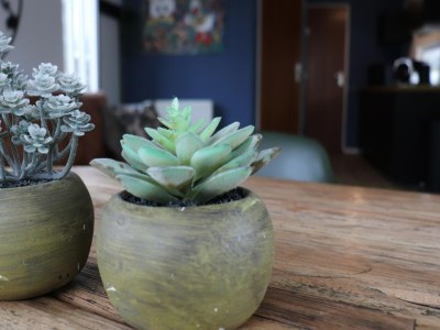 Holiday house Chalet in Tzummarum nahe friesischer Natur - Outdoor photo 35