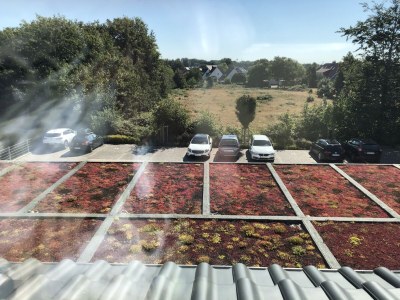 Holiday apartment Residenz Rugenbarg - Outdoor photo 10