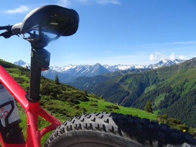 Holiday apartment Apartment "Alpenrose" - Outdoor photo 6