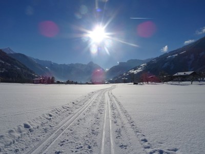 Holiday apartment Apartment "Alpenrose" - Outdoor photo 8