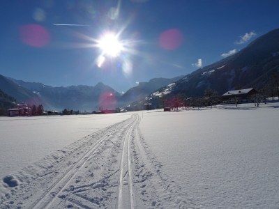 Holiday apartment Apartment "Alpenrose" - Outdoor photo 9