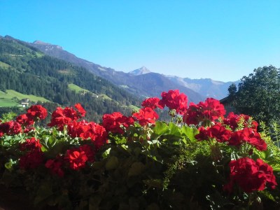 Holiday apartment Apartment "Alpenrose" - Environment photo 30