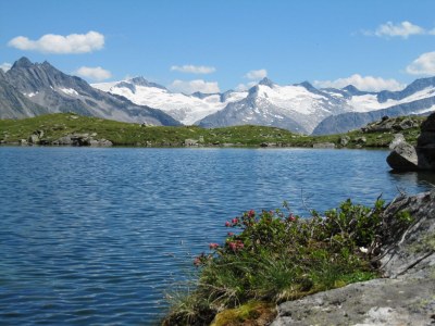 Holiday apartment Apartment "Alpenrose" - Environment photo 32