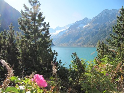 Holiday apartment Apartment "Alpenrose" - Environment photo 33