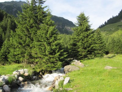 Holiday apartment Apartment "Alpenrose" - Environment photo 34