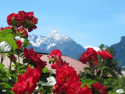 Holiday apartment Tristnerblick at Huaterhof - Environment photo 17