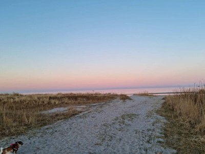 Holiday house Charming Family Retreat - By Traum Ferienwohnungen - Outdoor photo 28