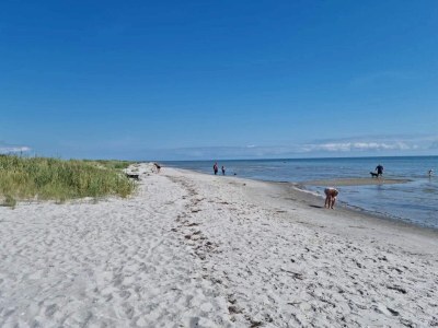 Holiday house Charming Family Retreat - By Traum Ferienwohnungen - Outdoor photo 54