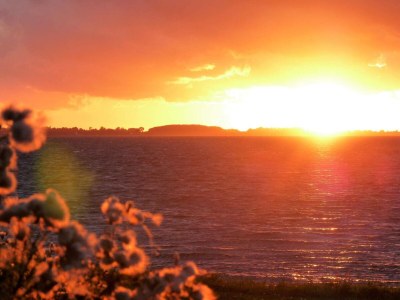 Holiday house Gemütliches Sommerhaus in der Nähe von Ore Strand - Outdoor photo 7