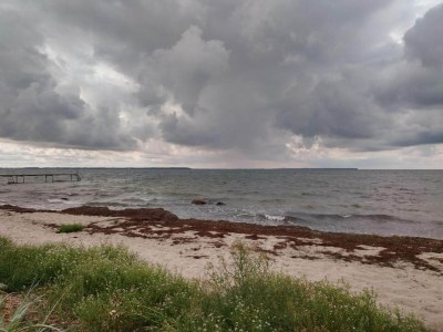 Holiday house Gemütliches Sommerhaus in der Nähe von Ore Strand - Outdoor photo 28