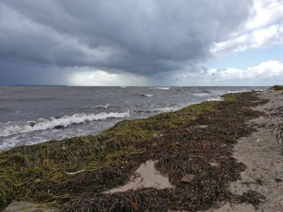 Holiday house Gemütliches Sommerhaus in der Nähe von Ore Strand - Outdoor photo 32