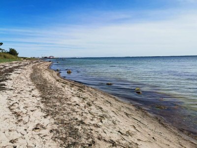 Holiday house Gemütliches Sommerhaus in der Nähe von Ore Strand - Outdoor photo 37