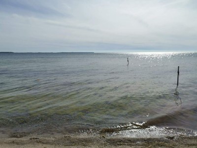 Holiday house Gemütliches Sommerhaus in der Nähe von Ore Strand - Outdoor photo 38