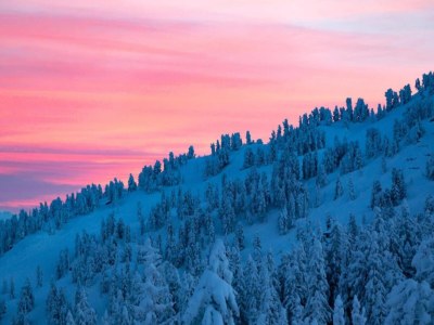 Apartment Apartment Neustift near Stubai Ski Lift - Environment photo 23