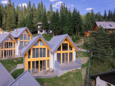 Holiday house Alpine chalet with private sauna - Outdoor photo 2