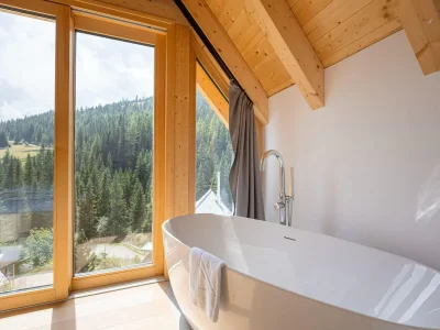 Holiday house Geräumiges Chalet im Lachtal mit Sauna - Features photo 6