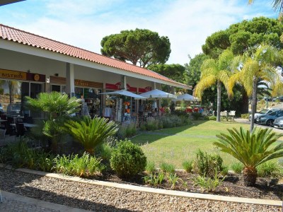 Apartment Sunny Balcony Apartment and Pool - Outdoor photo 39