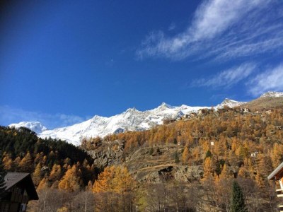 Apartment Chalet in Saas Fee near Ski Slopes - Environment photo 18