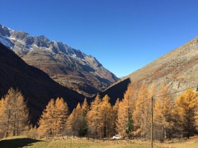Apartment Chalet in Saas Fee near Ski Slopes - Environment photo 25