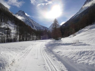 Apartment Chalet in Saas Fee near Ski Slopes - Environment photo 34