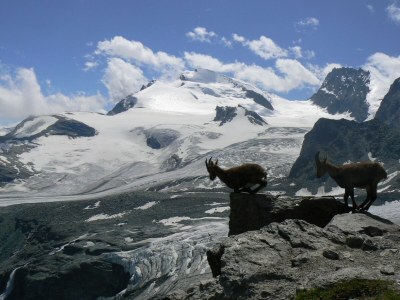 Apartment Älpi Retreat by Saas Grund - Environment photo 18