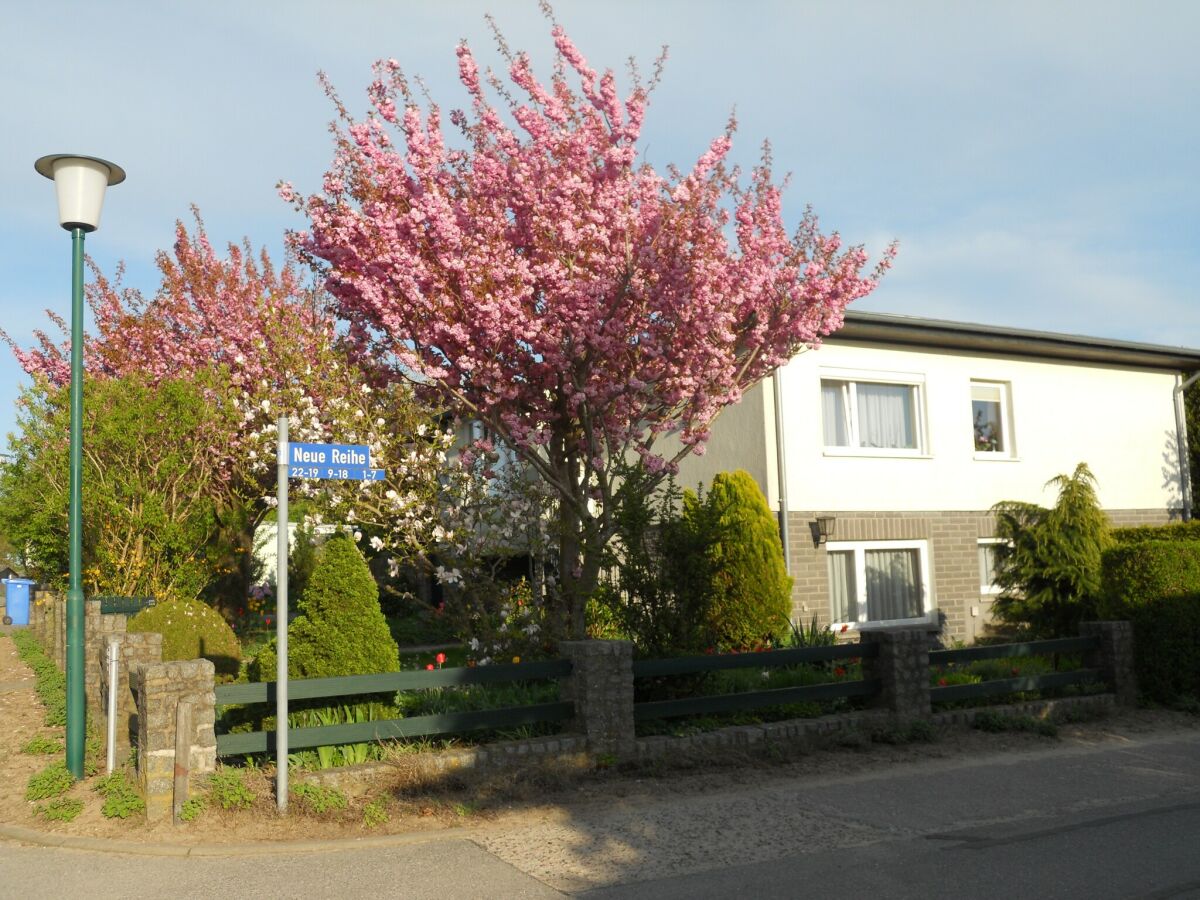 Apartment Schצne Wohnung in Krצpelin in der Nהhe von Meer