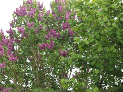 Apartment Schצne Wohnung in Krצpelin in der Nהhe von Meer - Outdoor photo 5