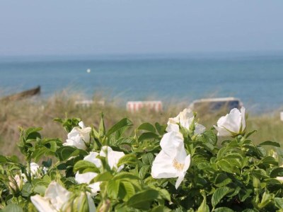 Apartment Schצne Wohnung in Krצpelin in der Nהhe von Meer - Environment photo 17