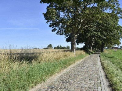 Apartment Schצne Wohnung in Krצpelin in der Nהhe von Meer - Environment photo 19