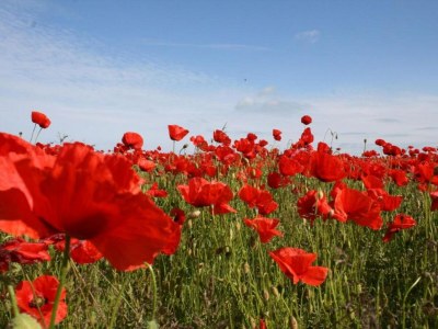 Apartment Schצne Wohnung in Krצpelin in der Nהhe von Meer - Environment photo 20