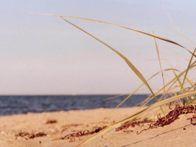 Apartment Schצne Wohnung in Krצpelin in der Nהhe von Meer - Environment photo 22