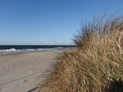 Apartment Schצne Wohnung in Krצpelin in der Nהhe von Meer - Environment photo 28