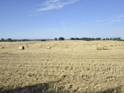 Apartment Schצne Wohnung in Krצpelin in der Nהhe von Meer - Environment photo 29