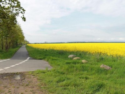 Apartment Schצne Wohnung in Krצpelin in der Nהhe von Meer - Environment photo 30