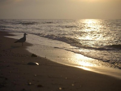 Apartment Schצne Wohnung in Krצpelin in der Nהhe von Meer - Environment photo 36