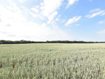 Apartment Schצne Wohnung in Krצpelin in der Nהhe von Meer - Environment photo 37
