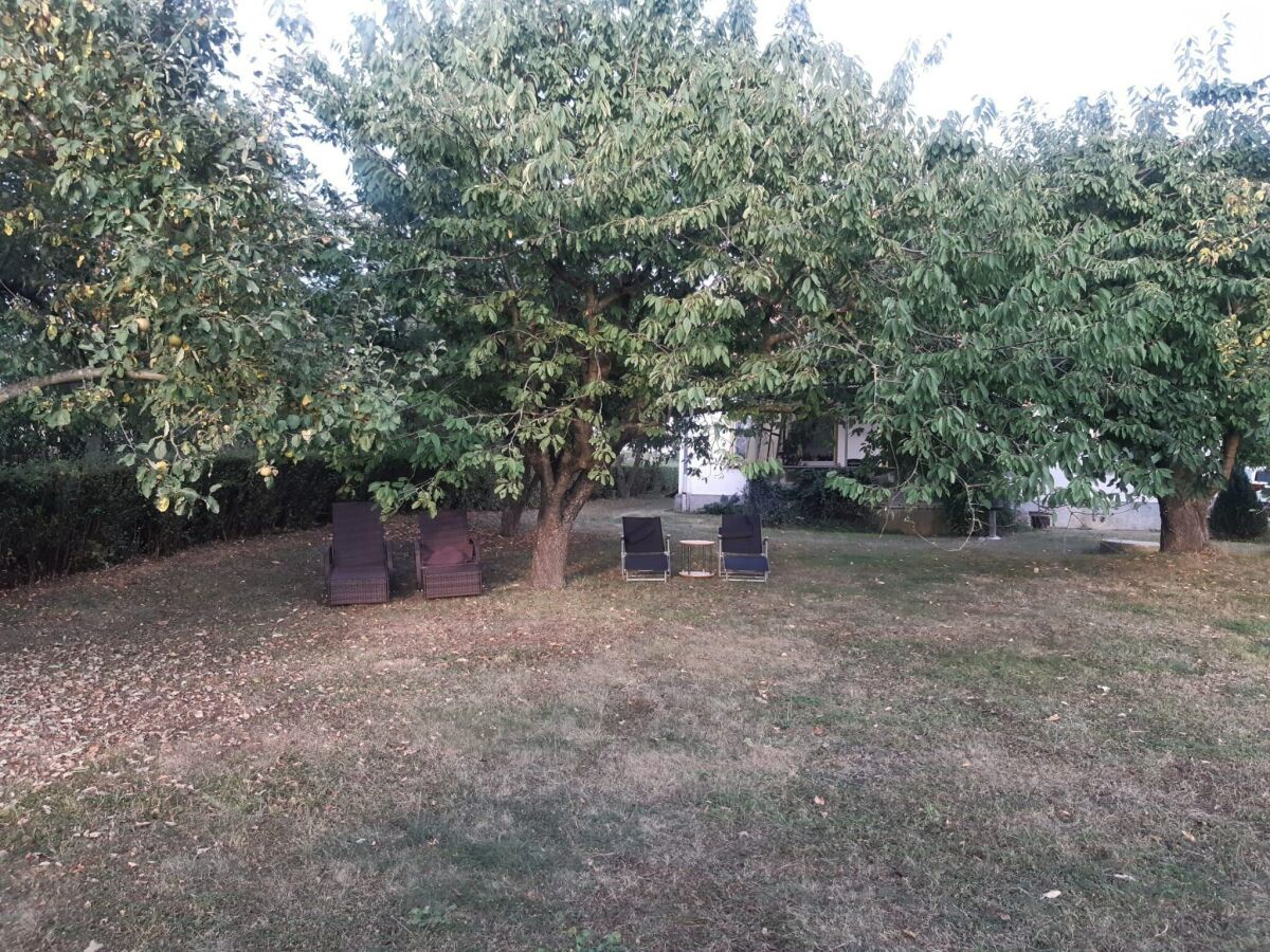 Holiday house Ferienhaus am großen See in Fürstenwerder - Outdoor photo 3