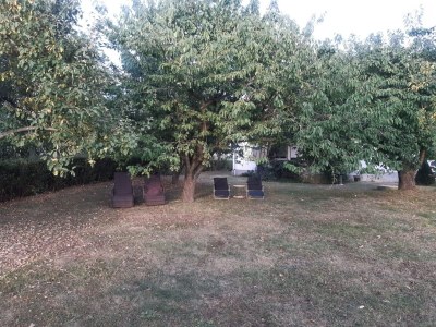 Holiday house Ferienhaus am großen See in Fürstenwerder - Outdoor photo 3