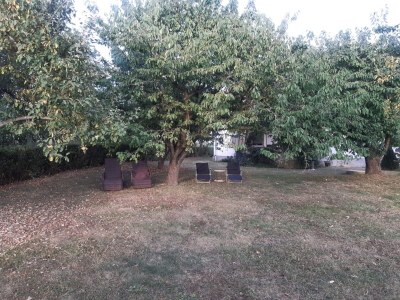 Holiday house Ferienhaus am großen See in Fürstenwerder - Outdoor photo 11