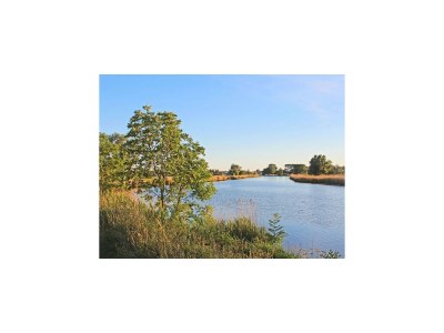 House boat Hausboot in Ueckermuende - Environment photo 25