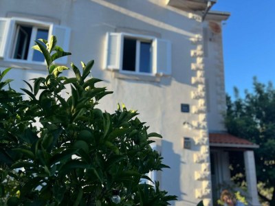 Apartment Villa Stella - Two Bedroom Apartment with Balcony and Sea View (Carla) - Outdoor photo 7